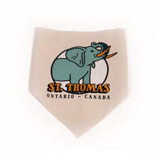 Youth St. Thomas Train Fleece Hoodie & Handkerchief Bundle