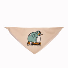Youth St. Thomas Train Fleece Hoodie & Handkerchief Bundle